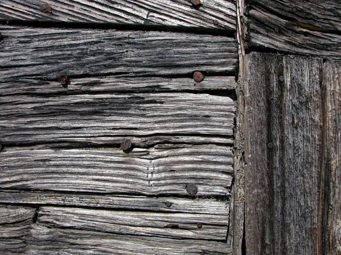 Aged overlapping timber boards studded with corroded nail heads, the condition of old sarking beneath a Carlisle slate roof