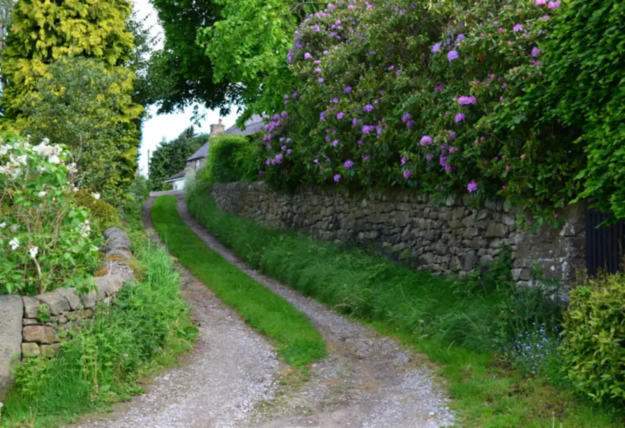 A narrow lane between dry stone walls leading up to a stone house, the kind of access a roofer plans for on rural properties near Brampton