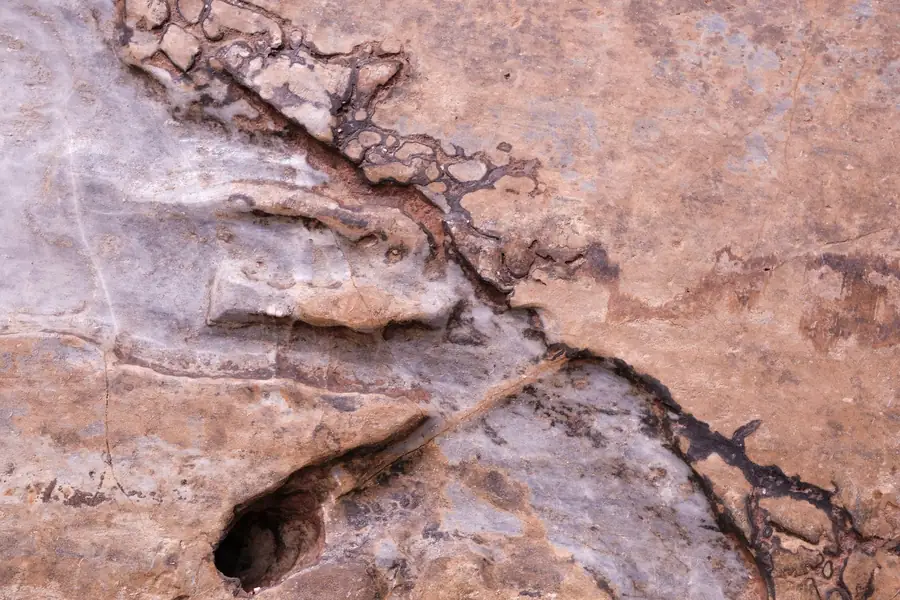Weathered sandstone surface showing the flaking and erosion pattern that frost produces on Carlisle masonry
