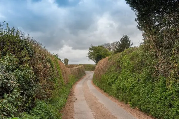 A quiet hedged lane of the kind the Caldew cycleway follows between Dalston and Carlisle