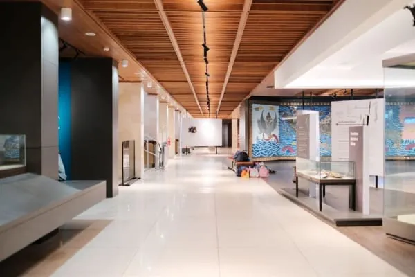 A modern museum gallery interior, the style of exhibition the Devil's Porridge Museum presents