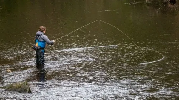 An angler casting a fly on a broad river, the kind of sport the Esk at Longtown is known for