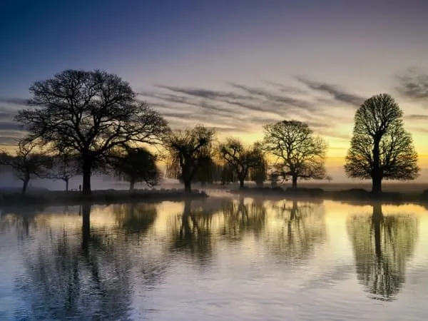 Still water reflecting trees at dawn, the quiet of Talkin Tarn near Brampton
