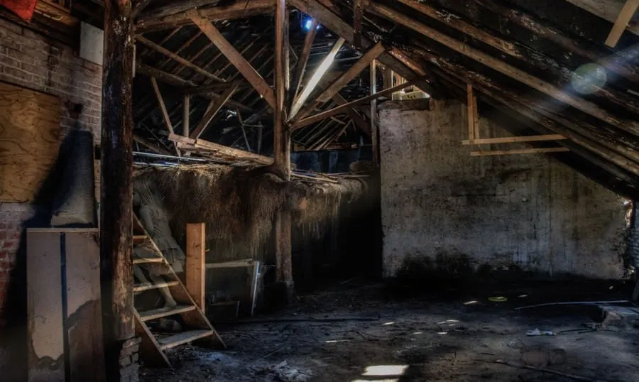 Light falling across old roof timbers in a dusty loft space during an inspection