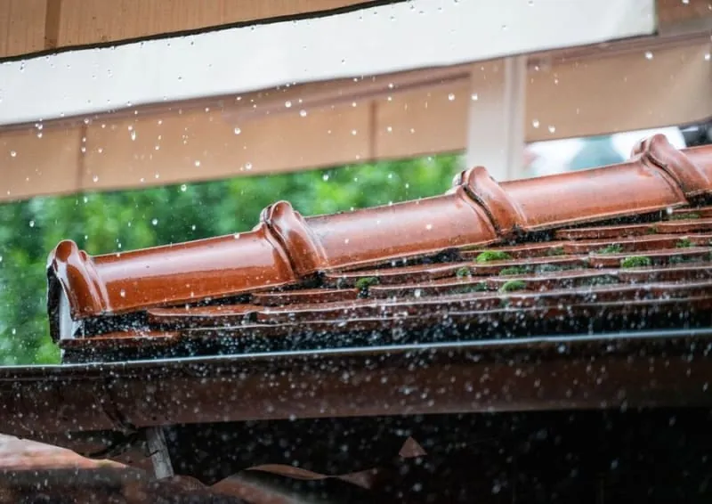 Rain overwhelming a gutter at the eaves, what leaf-blocked drainage looks like in a Windermere downpour