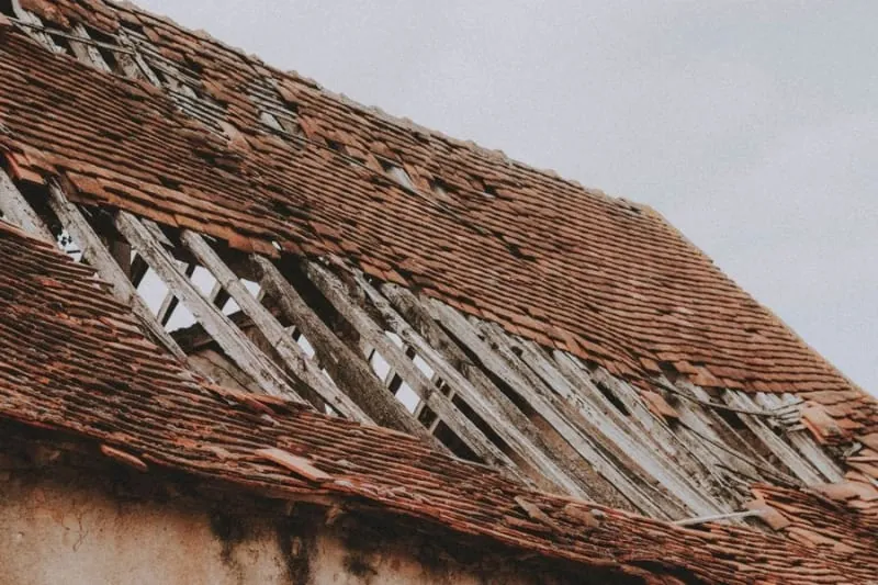 Missing slates exposing the battens beneath, classic gale damage on Longtown's open rows