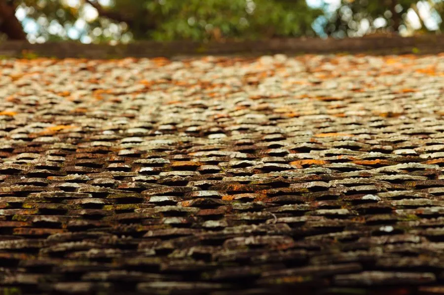 Close-up of roof tiles heavily covered in moss on a property in Carlisle