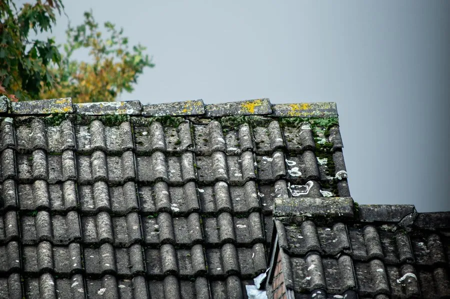 Old roof tiles with heavy moss growth and visible wear