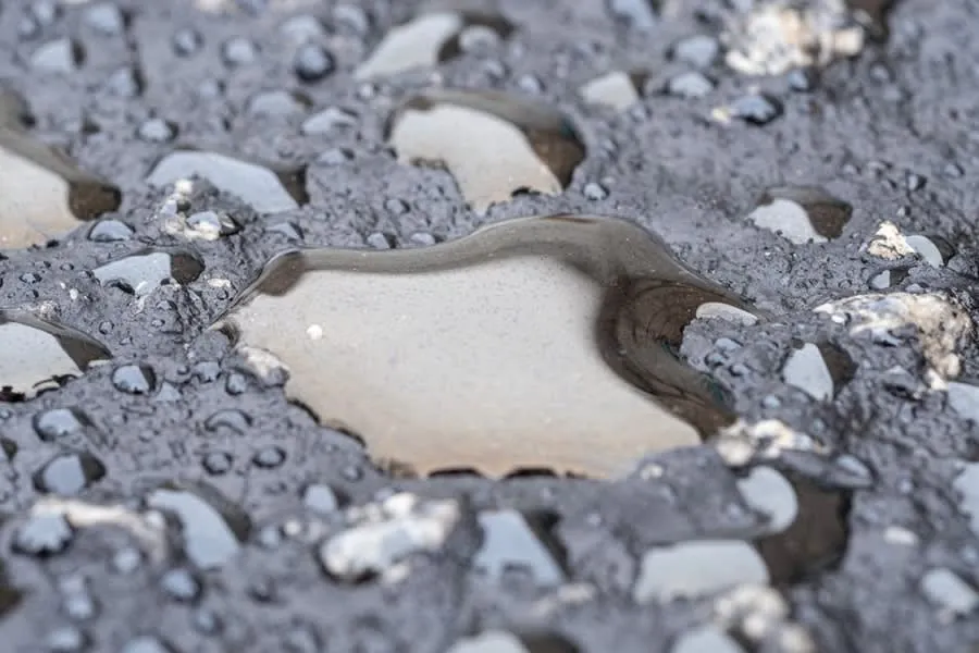 Water ponding across the surface of a dark flat roof covering after rain