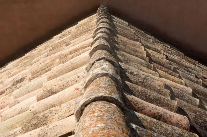 Ridge tiles along a roofline, the first casualty of the wind that runs up the Eden Valley at Penrith