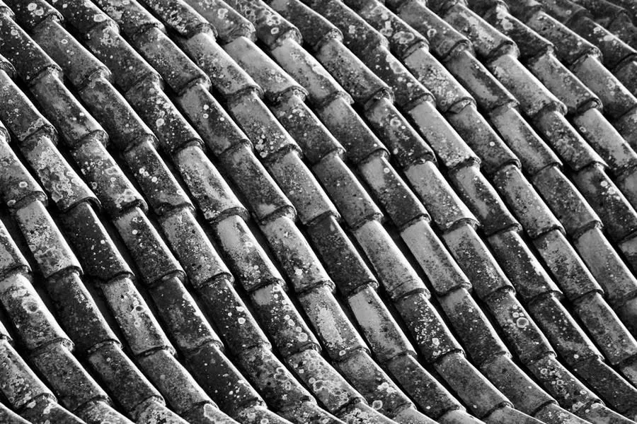 Weathered, lichen-covered roof tiles that look tired from the street but are still keeping the water out