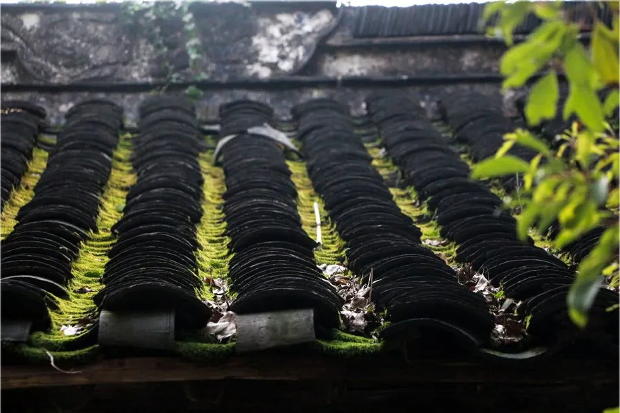 Worn roof tiles with moss growth across the covering