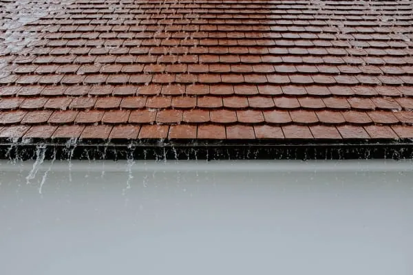 Rain running off a pitched roof, the conditions that reveal a roof leak in Carlisle
