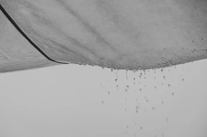 Water staining spreading across an interior ceiling caused by a roof leak